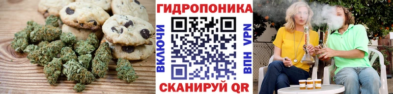 площадка состав  сколько стоит  Пугачёв  Cannafood марихуана 