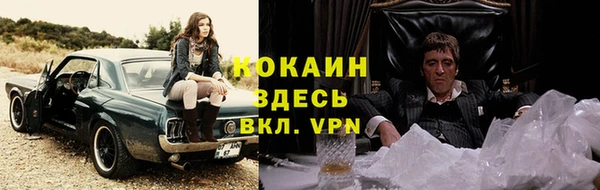стаф Алзамай