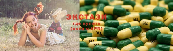 стаф Алзамай
