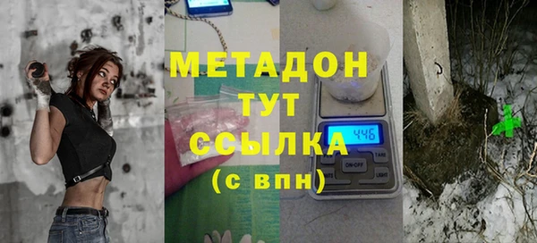 стаф Алзамай