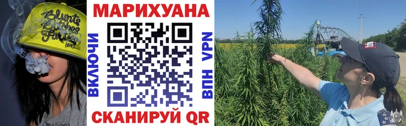 Бошки марихуана White Widow  Пугачёв 